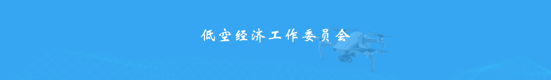 低空经济工作委员会.jpg